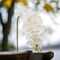 12-Pack: Real Touch White Phalaenopsis Orchid Stem, Floral Home by Artificial Flowers
